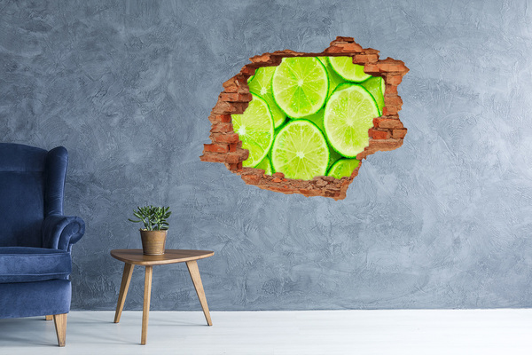 Nálepka 3D díra beton Čerstvé vápno v betonu