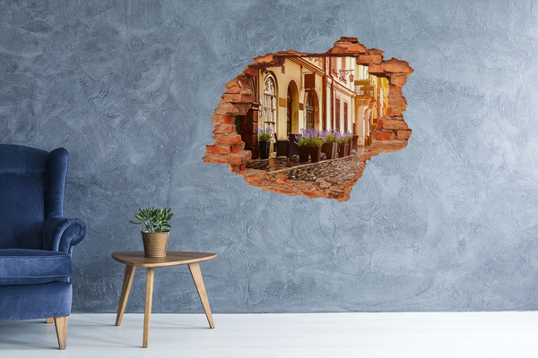 Fototapeta díra na zeď 3D Okouzlující koutek s levandulí