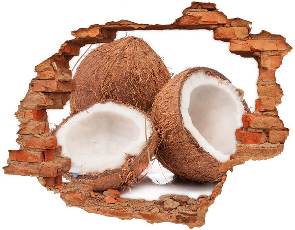 Nálepka 3D díra na zeď Kokosové poklady