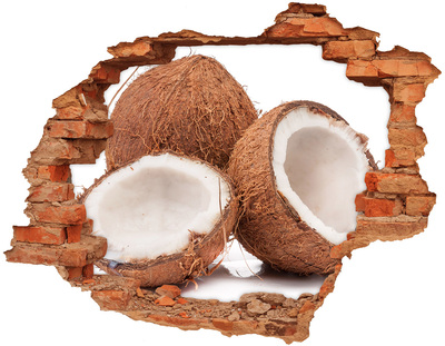 Nálepka 3D díra na zeď Kokosové poklady