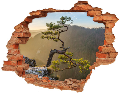 Nálepka fototapeta 3D výhled Sokolice Pieniny