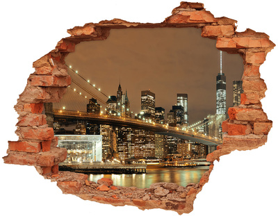 Fototapeta díra na zeď 3D Manhattan New York