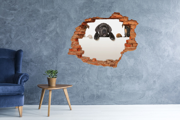 Díra 3D fototapeta nálepka Tři štěňátka