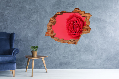 Díra 3D fototapeta na stěnu Červená růže