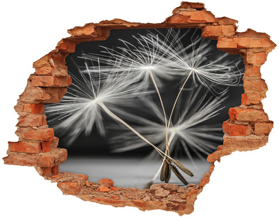 Samolepící díra nálepka Květy pampelišky v betonu