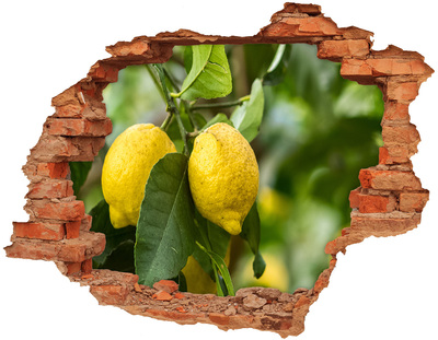 Samolepící nálepka Citrony na stromě