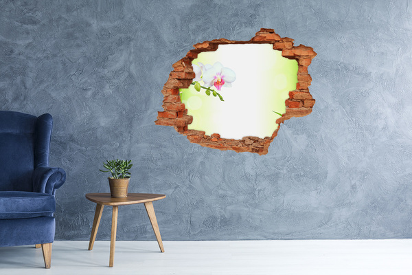 Fototapeta díra na zeď Květy orchidejí v bambusové zahradě