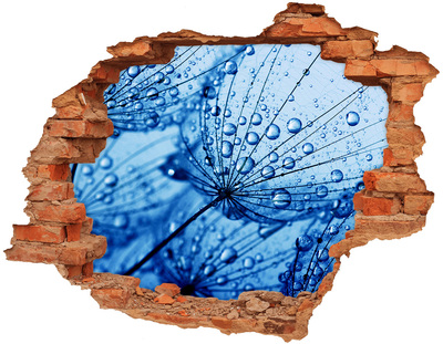 Samolepící díra nálepka Kapky vody na jemném květu