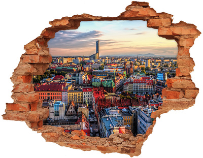 Fototapeta díra na zeď 3D Panorama Vratislav