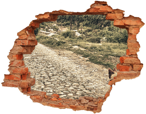 Díra 3D fototapeta nálepka Okouzlující venkovská cesta