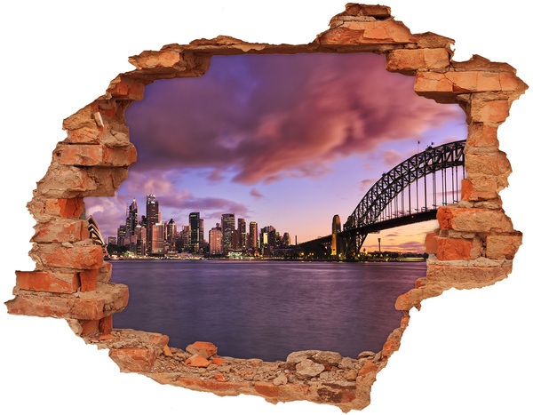 Fototapeta díra na zeď 3D Pohled na Sydney