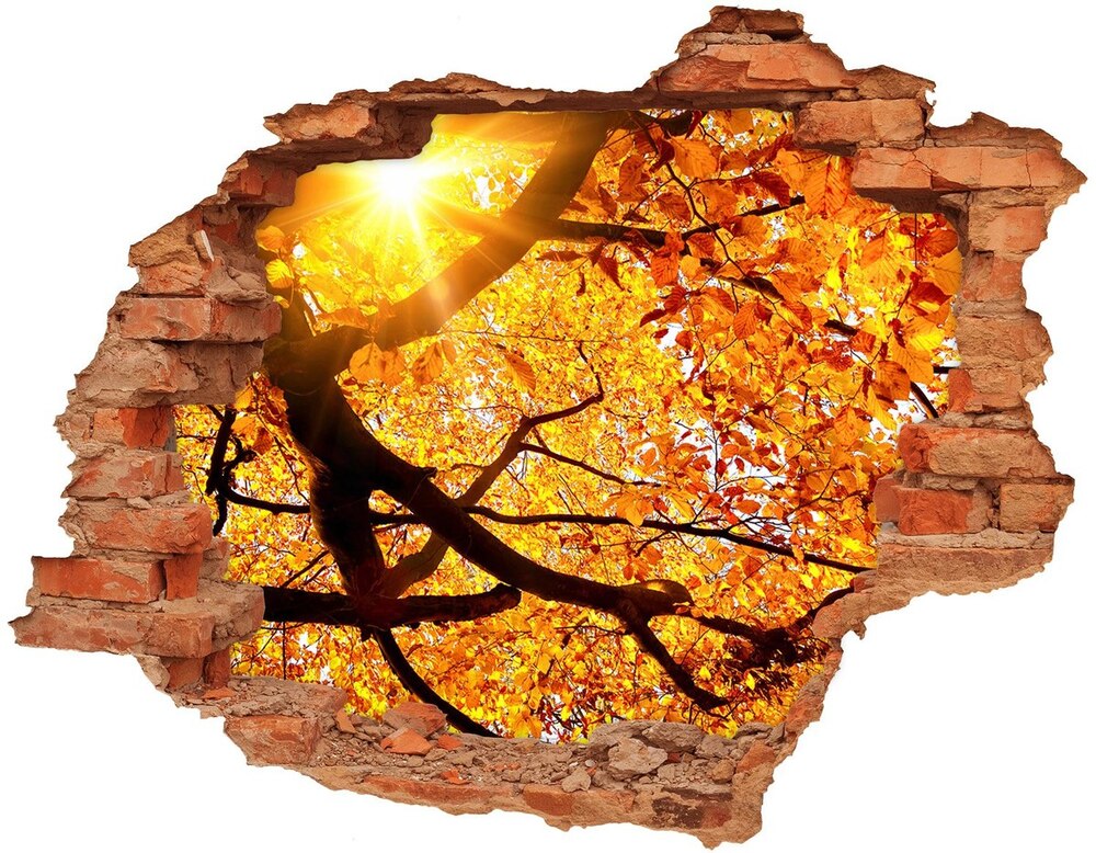 Samolepící díra na stěnu Koruna stromů podzim