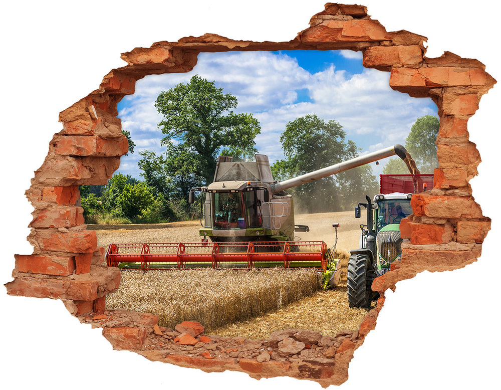 Fototapeta díra na zeď Kombajn a traktor