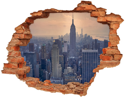 Fototapeta díra na zeď 3D Pohled na New York
