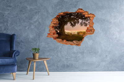 Nálepka fototapeta 3D na zeď Starý strom