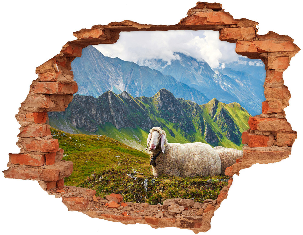 Nálepka fototapeta 3D na zeď Ovce v Alpách