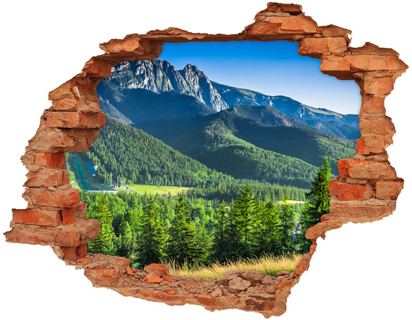 Nálepka fototapeta 3D Skokanský můstek Tatry