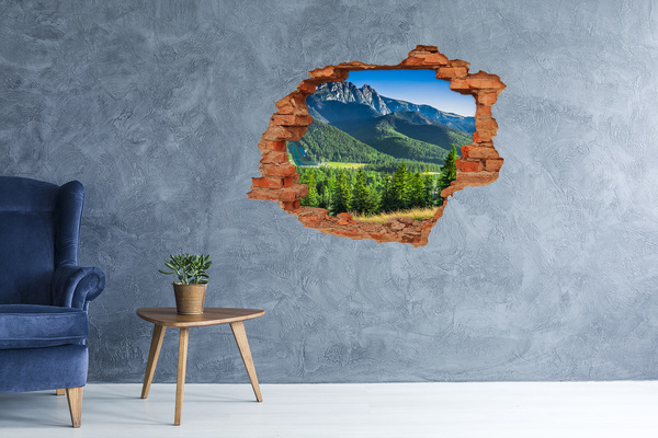 Nálepka fototapeta 3D Skokanský můstek Tatry