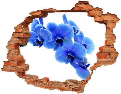 Samolepící díra nálepka Květy orchidejí v díře ve zdi