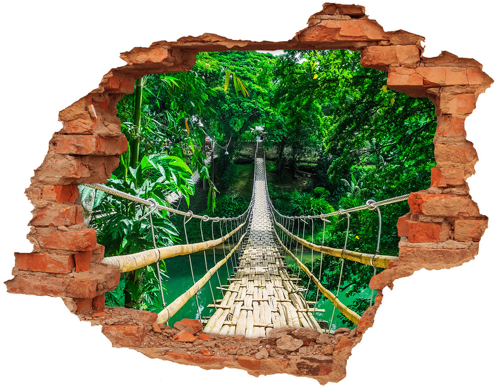 Fototapeta díra na zeď 3D Most tropickýá les