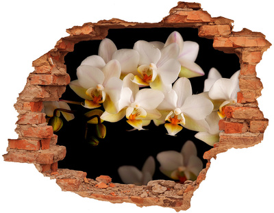 Nálepka fototapeta 3D výhled Orchidej