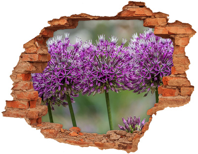 Samolepící díra na stěnu Květ česneku