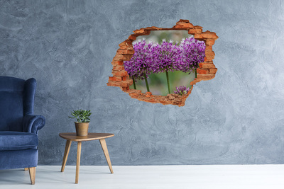 Samolepící díra na stěnu Květ česneku
