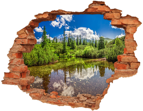 Nálepka 3D díra na zeď Jezero v lese