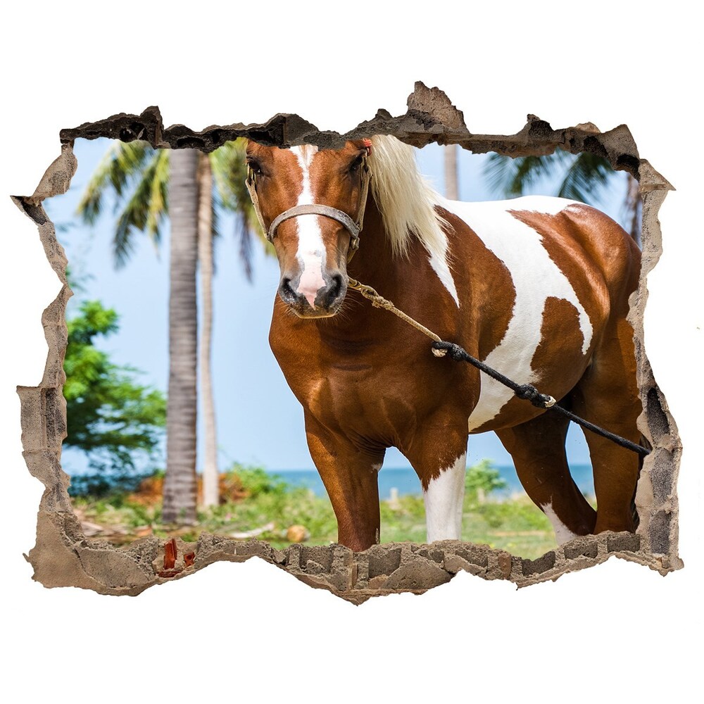 Díra 3D fototapeta nálepka Strakatý kůň