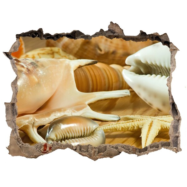 Samolepící díra na stěnu Mořské poklady