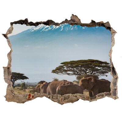 Díra 3D fototapeta Africká savana se slony