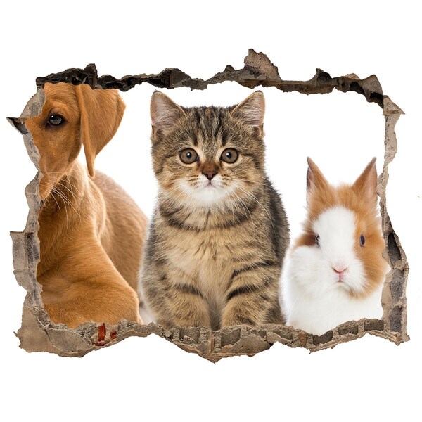 Díra 3D fototapeta na stěnu Přátelé navždy