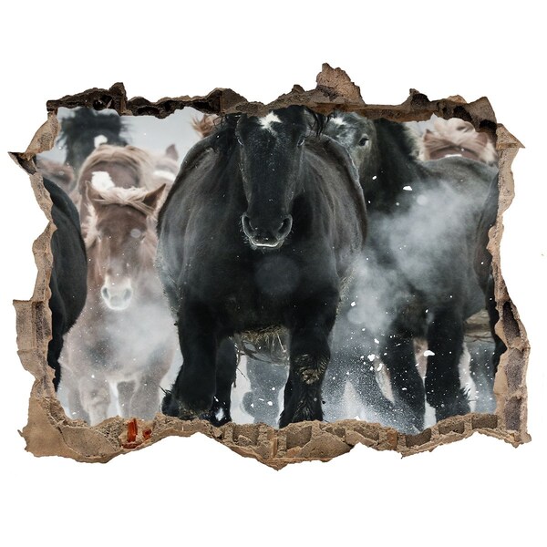 Fototapeta díra na zeď Koně cválající skrz zeď