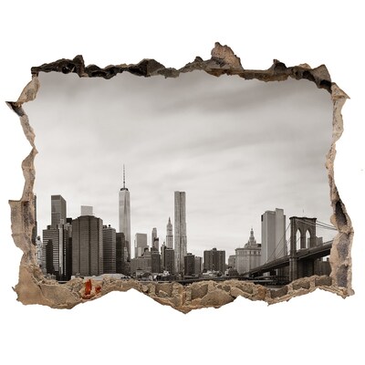 Fototapeta díra na zeď Manhattan New York