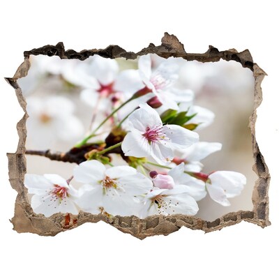 Samolepící nálepka na zeď Květy višně