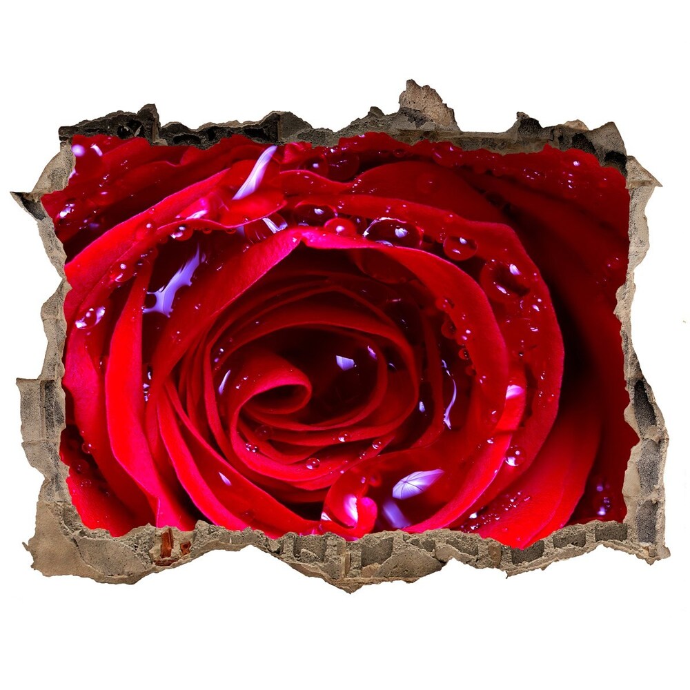 Samolepící nálepka na zeď Květ růží