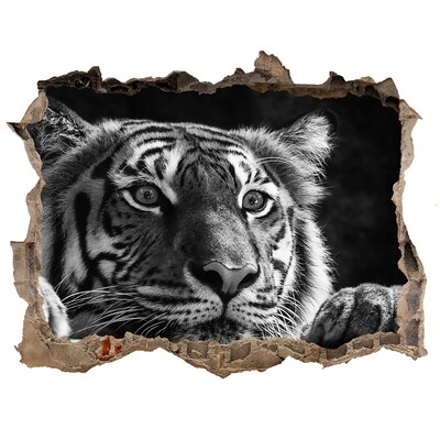 Díra 3D fototapeta nálepka Tygr