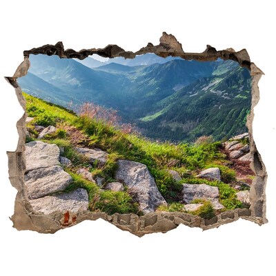 Fototapeta díra na zeď Výhled na hory s údolím