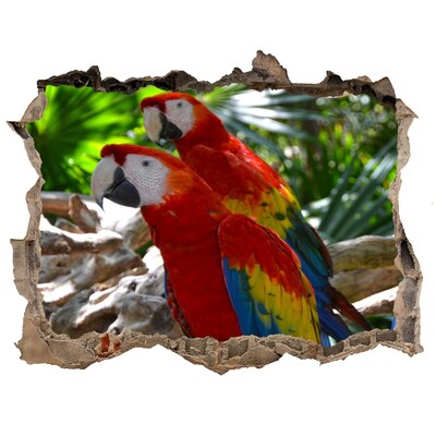 Díra 3D fototapeta nálepka Papoušek Ara
