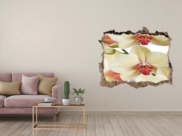 Fototapeta nálepka na zeď Orchidej