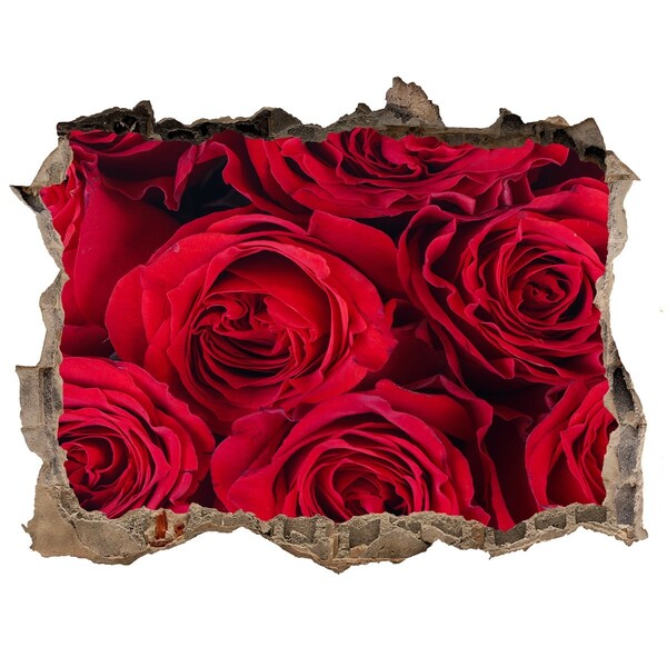 Samolepící nálepka fototapeta Růže v rozpadlé zdi