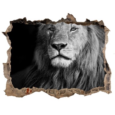 Díra 3D fototapeta nálepka Lev v díře ve zdi