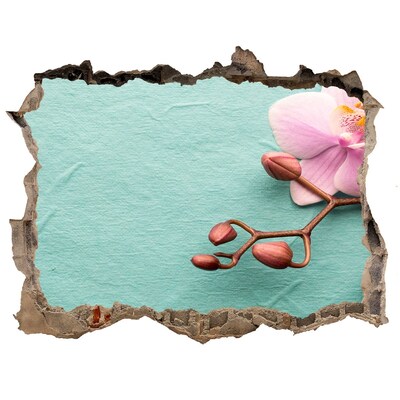 Samolepící nálepka fototapeta Květina orchideje v poškozené zdi