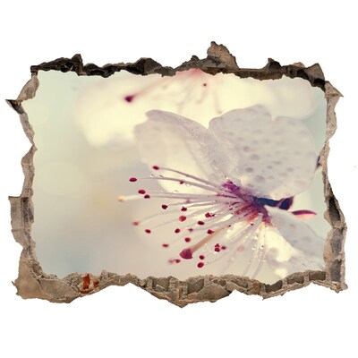Samolepící nálepka na zeď Květ višně