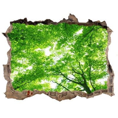 Samolepící nálepka fototapeta Zelený les