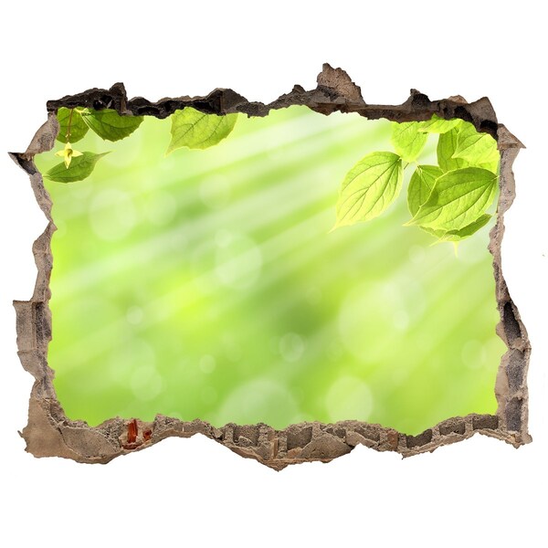 Samolepící nálepka fototapeta Zelený ráj za zdí