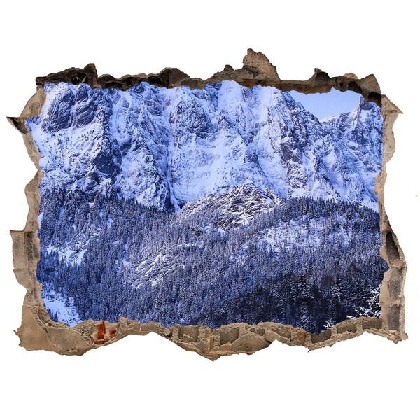 Fototapeta díra na zeď Horská krajina v zimní krajině