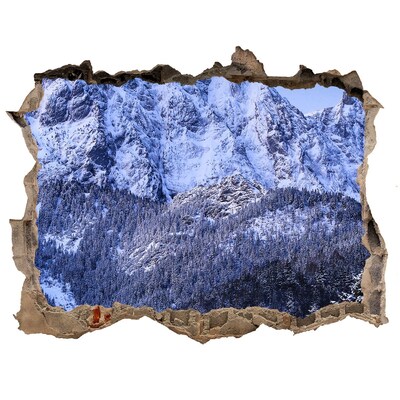 Fototapeta díra na zeď Horská krajina v zimní krajině