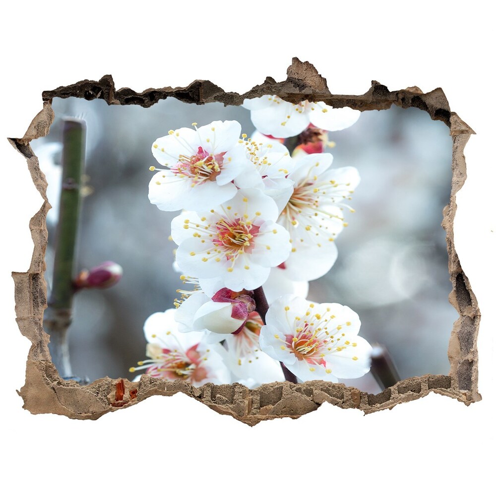 Samolepící nálepka fototapeta Květy višně