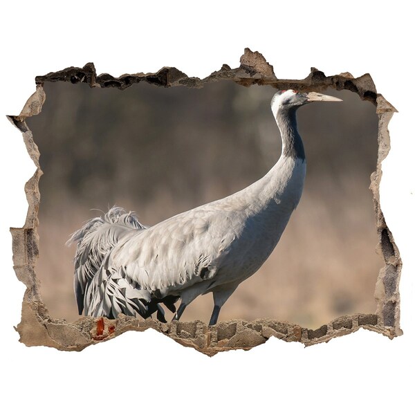 Díra 3D fototapeta nálepka Jeřáb v jeho přirozeném prostředí